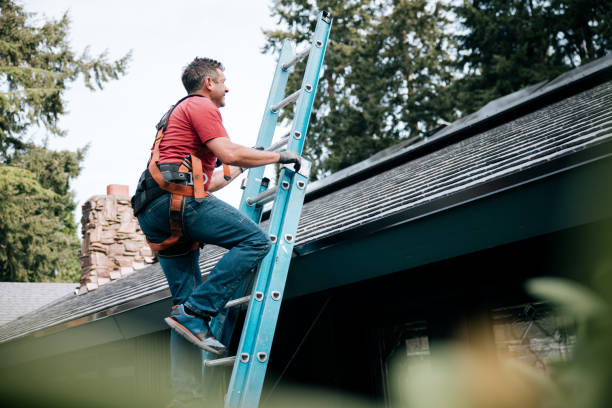 Best Chimney Flashing Repair  in Greenfield, IN